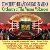 Concierto de Año Nuevo en Viena artwork