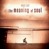The Meaning of Soul artwork
