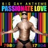 Passionate Love: Big Gay Anthems, 2015