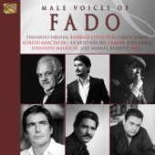 Male Voices of Fado artwork