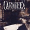 Collaborating Like Killers - Carnifex lyrics