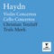 Violin Concerto No. 1 in C Major, Hob. VIIa/1: I. Allegro moderato artwork