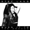 Burn It to the Ground - Single album lyrics, reviews, download