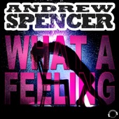 What a Feeling (Chris Diver Remix) artwork