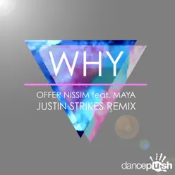 Why (feat. Maya) - Single - Offer Nissim