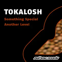 Something Special / Another Level - Single by Tokalosh album reviews, ratings, credits