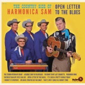 Open Letter to the Blues artwork