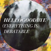 hellogoodbye - (Everything Is) Debatable