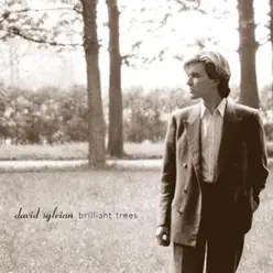 Brilliant Trees (Remastered) - David Sylvian