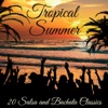 Tropical Summer: 20 Salsa and Bachata Classics, 2013
