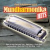 Fred Schultheiss - Wand'rin' Star (Instrumental)