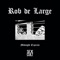 Blind Pale Emotions - Rob De Large lyrics