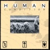 Human Condition