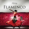 Flamenco - The Luxury Collection