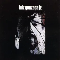 Luiz Gonzaga Jr. - Luiz Gonzaga