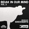 Beiak in Our Mind, Vol. 2 (Mixed by Shocknorte) - Shocknorte lyrics