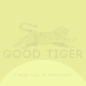 Good Tiger - Where Are the Birds