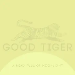A Head Full of Moonlight by Good Tiger album reviews, ratings, credits