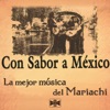 La Culebra by Mariachi Silvestre Vargas iTunes Track 3