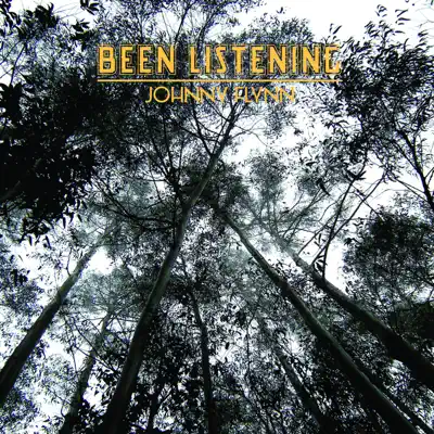 Been Listening - EP - Johnny Flynn