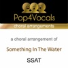 Something In the Water (SSAT, Choral Arrangement) [In the Style of Brooke Fraser]