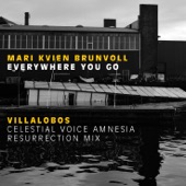 Everywhere You Go - Villalobos celestial voice amnesia resurrection mix (Everywhere You Go) - EP artwork