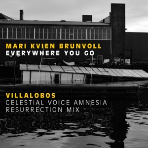 Everywhere You Go - Villalobos celestial voice amnesia resurrection mix (Everywhere You Go) - EP