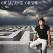 Il paraît cover
