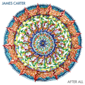 After All (feat. Daniel Sheehan, Christian Meyer & Ben Christensen) - James Carter