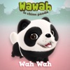 Wah Wah - Single