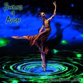 Swans of Avon - Into the Storm