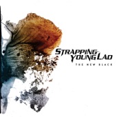 Strapping Young Lad - Fucker