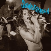 Soundgarden - Hand of God