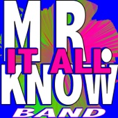 Mr. Know It All artwork