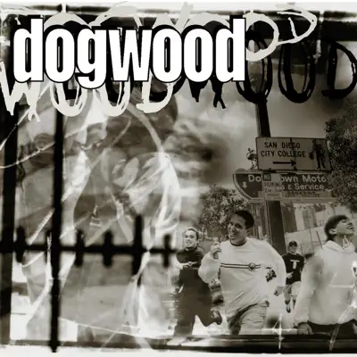 More Than Conquerors - Dogwood More Than Conquerors - Dogwood