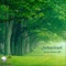 Green Power - Schneitzel lyrics