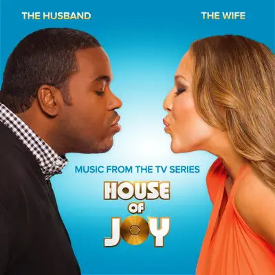 Irreplaceable You (Music from the TV Series House of Joy) - Single - Joy Enriquez