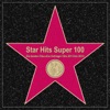 Star Hits Super 100 – Die besten Discofox Schlager Hits 2013 bis 2014, 2014