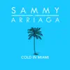 Stream & download Cold in Miami - Single