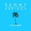 Cold in Miami - Single