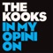 In My Opinion - The Kooks lyrics