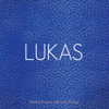 Alkitab Suara Lukas - Various Artists