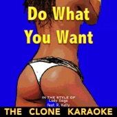 Do What U Want (In the Style of Lady Gaga ft. R. Kelly) [Karaoke] artwork