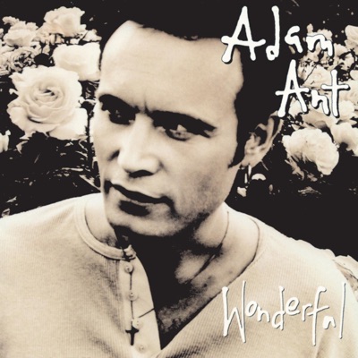 Wonderful - Adam Ant