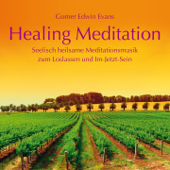 Healing Meditation: Seelisch heilsame Meditationsmusik - Gomer Edwin Evans