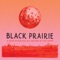 For the Love of John Hartford - Black Prairie lyrics