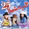 Ana Bárbara - Quise Olvidar