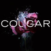 Cougar - Rhinelander