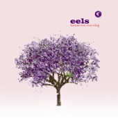 Eels - The Man
