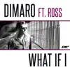 What If I (Boostedkids Remixes) [feat. Ros] - Single album lyrics, reviews, download